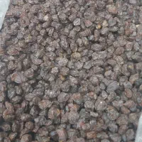 فروش مویز و کشمش گوشتی درجه 1