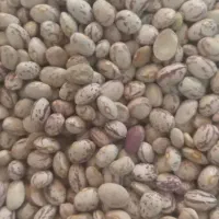 لوبیا چیتی370ایرانی