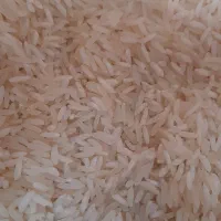 برنج طارم هاشمی کشت دوم اعلا
