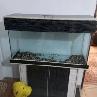 اکواریم 1متری