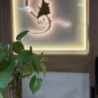 سالن زیبایی تخصصی سپیده مازندرانی
