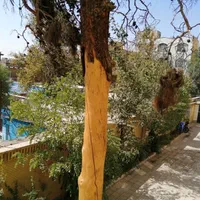 فروش آپارتمان ۵۸ متری ۱ خوابه طبقه ۲ در امیر بهادر|فروش آپارتمان|تهران, امیر بهادر|دیوار