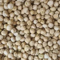 نخود درجه یک الیگودرز