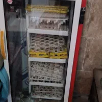 تعدادی وسایل منزل تمیز و سالم فروشی|صندلی و نیمکت|اردکان, |دیوار