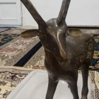 مجسمه بز کوهی تزئینی|مجسمه، تندیس، ماکت|بوکان, |دیوار