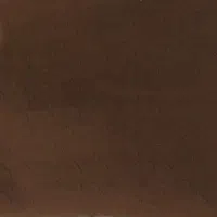 موکت سالم