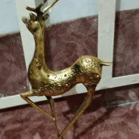 مجسمه آهو|مجسمه، تندیس، ماکت|محمدیه-قزوین, |دیوار