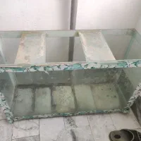 اکوریوم