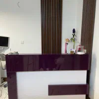 منشی و دستیار فیزیوتراپی