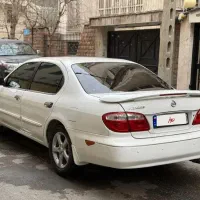 ماکسیما مدل ۸۲ استثنائی