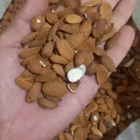 مغز بادام شیرین|خوردنی و آشامیدنی|ساری, |دیوار