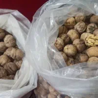 گردو تازه ومحلی بوانات|خوردنی و آشامیدنی|ارسنجان, |دیوار