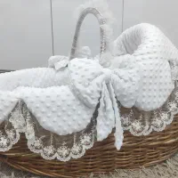 سبدحمل نوزاد پرنسسی (رودان)