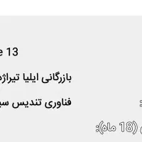 آیفون ۱۳ نرمال شرکتی ۱۲۸ گیک پارت ch|موبایل|نسیم‌شهر, |دیوار