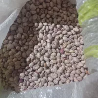 لوبیا چیتی بوجاری شده