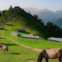 تور باور نکردنی شمال مازنداران