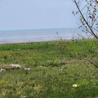 فروش زمین کنار دریا آستارا تک برگ قیمت مناسب|فروش زمین و ملک کلنگی|آستارا, |دیوار