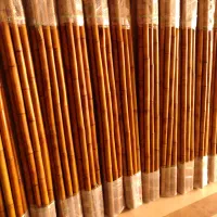 bamboo بامبو|صنایع دستی و سایر لوازم تزئینی|تهران, هفده شهریور|دیوار