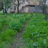 فروش-زمین-کشاورزی-با-نقشه-UTM