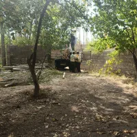 خرید انواع چوب|خدمات باغبانی و درختکاری|جیرفت, |دیوار