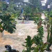 نیروی کار خانم