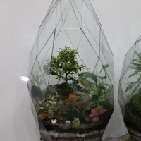 تراریوم‌های طبیعی در طرح های مختلف