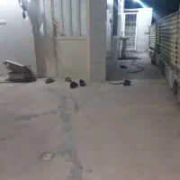 اجاره خانه ۱۷۰ متری ۱ خوابه طبقه ۱