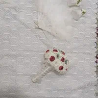 لباس عروس|لباس|رودهن, |دیوار