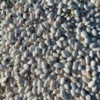 لوبیا سفید درجه یک|خوردنی و آشامیدنی|نهاوند, |دیوار