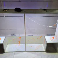 قفسه|فروشگاه و مغازه|پاکدشت, پاکدشت (مامازند)|دیوار