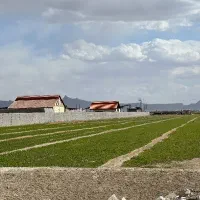 چهاردیواری-400-متری-داخل-مجموعه-باغی-تیمیارت