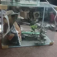 آکواریوم شیشه خم