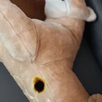 عروسک  ببر بزرگ|مجسمه، تندیس، ماکت|همدان, |دیوار