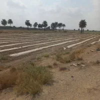 فروش ۲ هکتار زمین کشاورزی با چاه آب نزدیک خیابان|فروش دفتر صنعتی، کشاورزی، تجاری|میناب, |دیوار