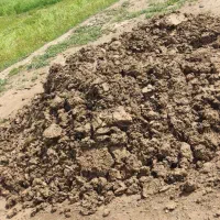 خاک گوسفند یک نیسان