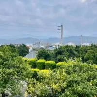 فروش فوری زمین ۲۲۰متری سندار منطقه ای ازدست نده