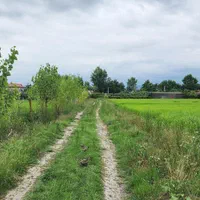 فروش زمین /مزرعه ۸۲۰۰ /مترمربع/ خاصه سرا/جماکو|فروش زمین و ملک کلنگی|تالش, هشتپر|دیوار