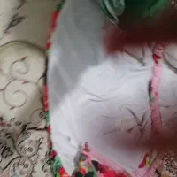 کاپشن دخترانه|کفش و لباس بچه|سنندج, |دیوار