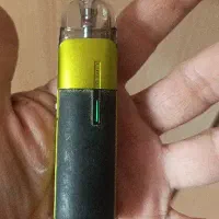 پاد معاوضه با قناری نر یا کبوتر زردی