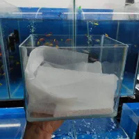 آکواریوم پارسیان|ماهی|مینودشت, |دیوار