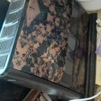 بخاری سالم