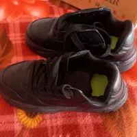 کفش اسپرت ENZO