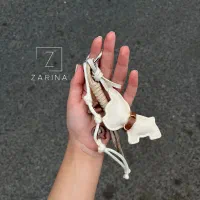 اکسسوری زارینا