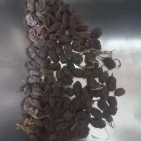 2 تن کشمش آقتابی