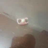 ساخت دندان مصنوعی ایرانی و خارجی|خدمات آرایشگری و زیبایی|رشت, دروازه لاکان|دیوار