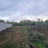 ۶۰۰ متر زمین درروستای زیبای نوخاله|فروش زمین و ملک کلنگی|تولم شهر, |دیوار