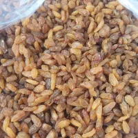 کشمش ۲ مدل خرما