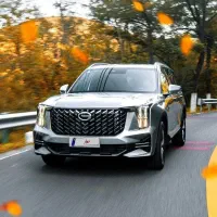 GS8 گک مدل 2025 صفر خشک سفید تحویل فوری
