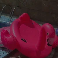 وسایل بادی استخر برند اینتکس|غواصی و ورزشهای آبی|تهران, شهرک فردوس (حسینی)|دیوار