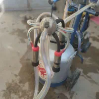 شیردوش|اسباب و اثاث بچه|دینور, |دیوار